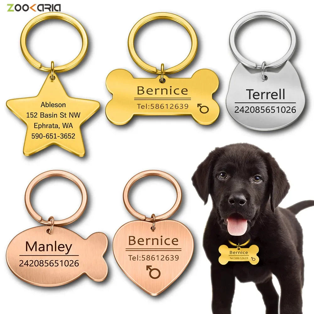 Personalized Engraved Pet ID Tag Keychain for Cats & Dogs  petlums.com   