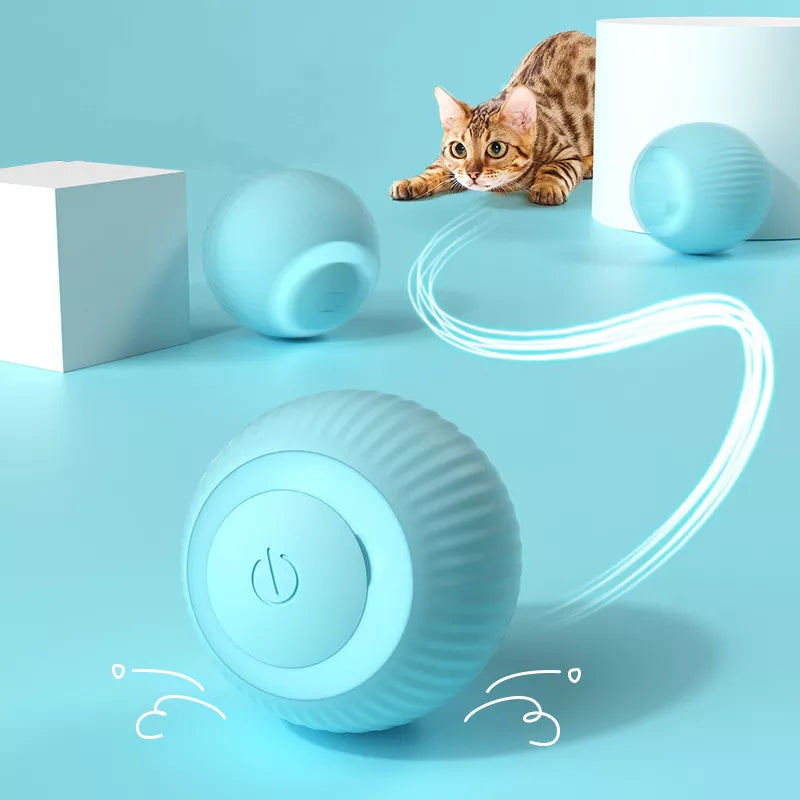 Electric Rolling Cat Toy for Indoor Interactive Playing  PetLums.com   