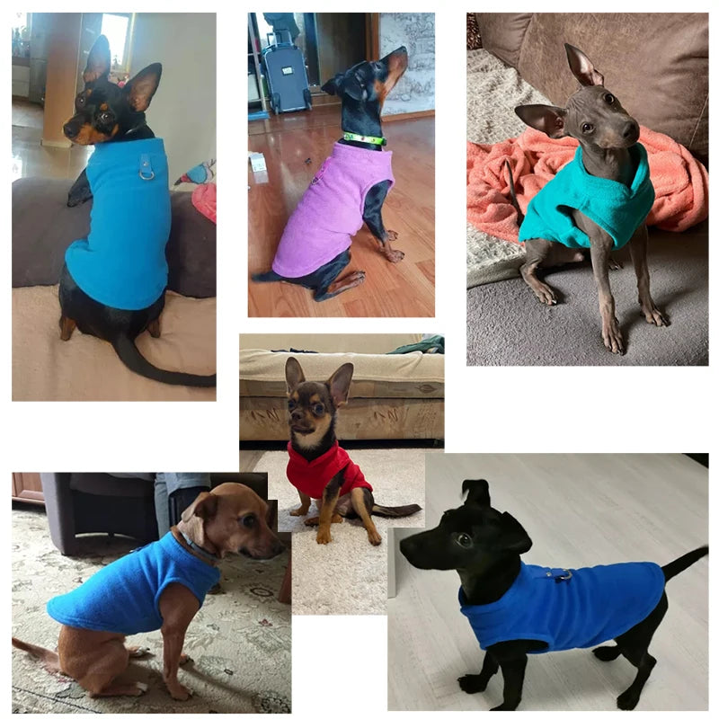 Cozy Winter Pet Clothes: Warm Fleece Dog Jacket for Small Breeds & Kittens  petlums.com   