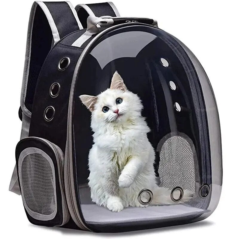 Cat Bubble Pet Backpack: Transparent Capsule Design, Breathable, Small Animal Friendly  petlums.com   