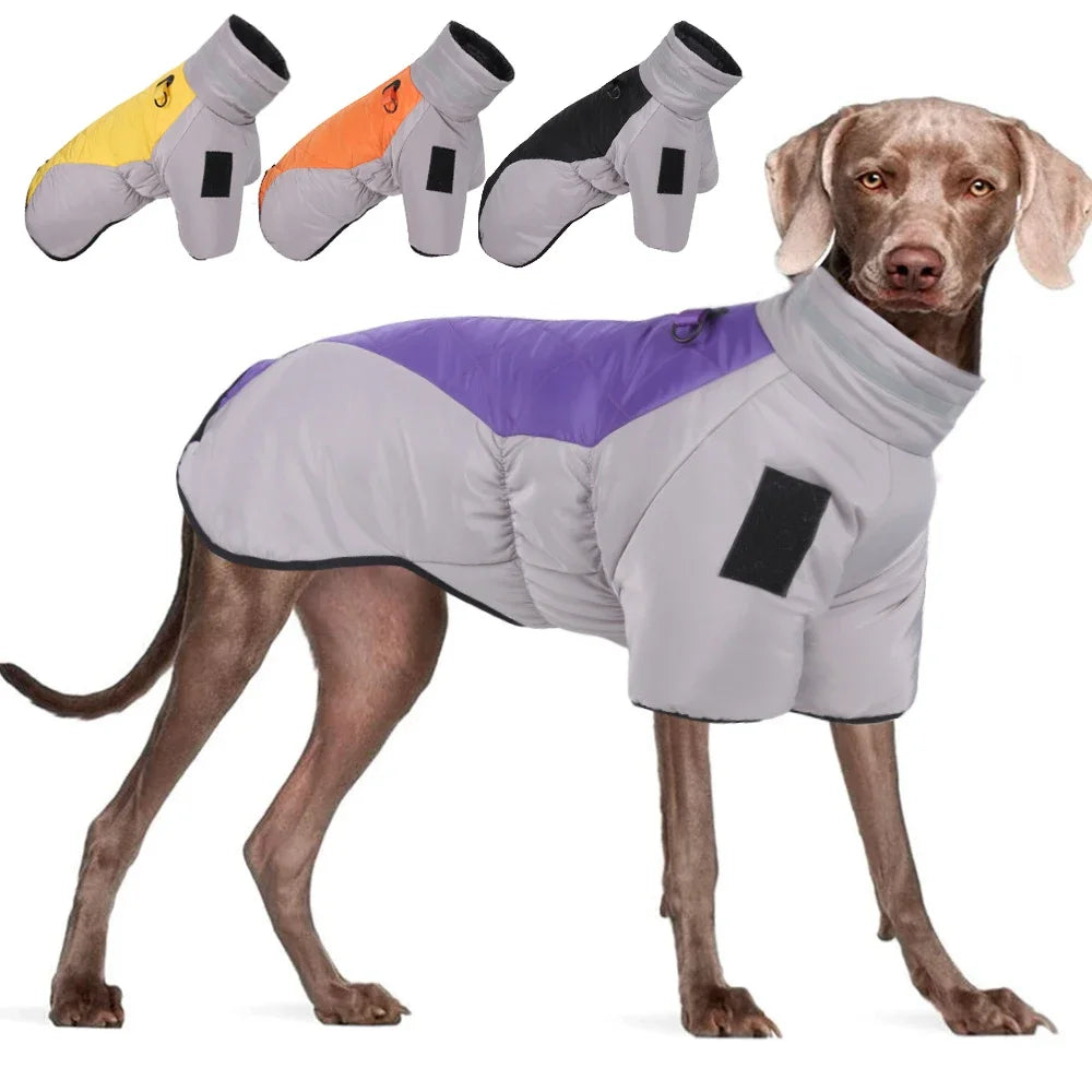 Big Dog Winter Jacket: Stylish Waterproof Coat for Large Dogs  petlums.com   