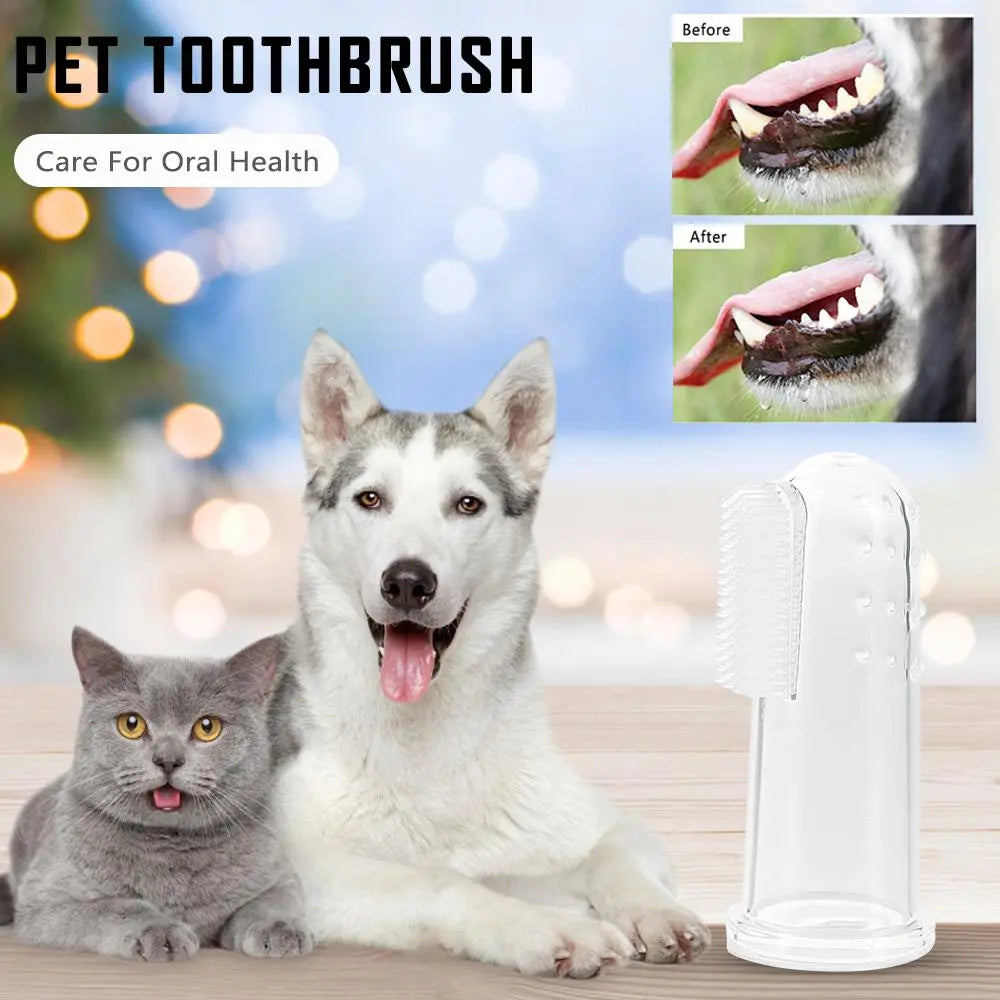 Pet Dental Care Kit: Soft Toothbrushes, Finger Brush, Plush Tools  petlums.com   