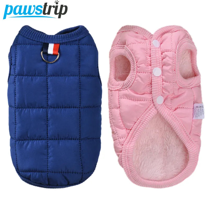 Winter Dog Coat Jacket for Small Dogs - Windproof & Padded Warmth  petlums.com   