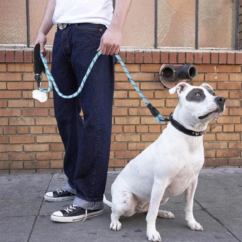 Strong Leashes for Dogs with Soft Handle and Reinforced Design  petlums.com   