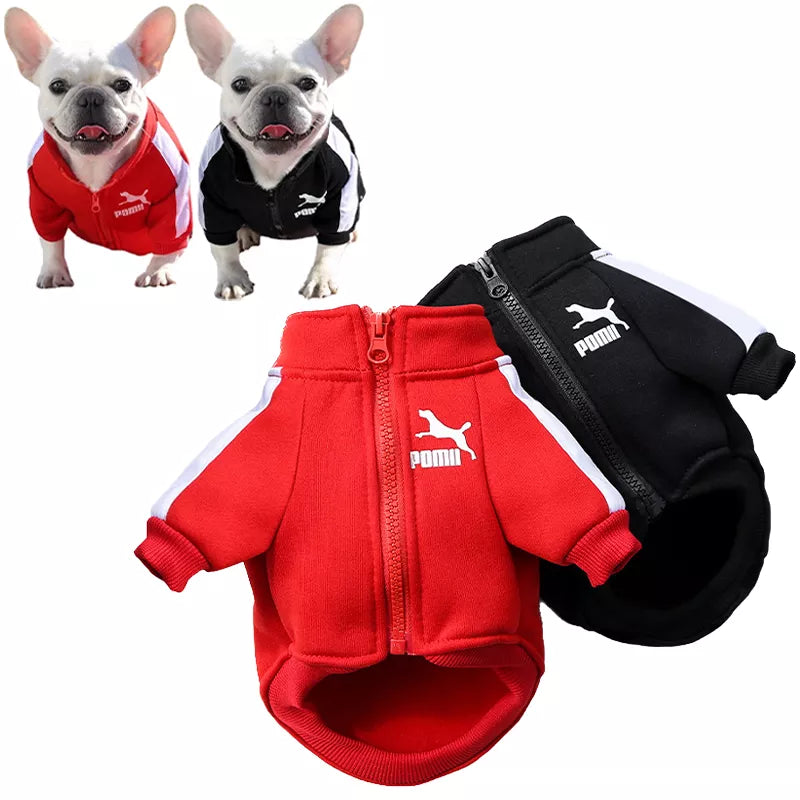 Baseball Dog Jacket Winter Clothes for Small-Medium Dogs - Trendy & Warm!  PetLums   