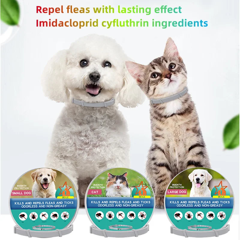 Flea and Tick Protection Collar for Dogs and Cats  petlums.com   