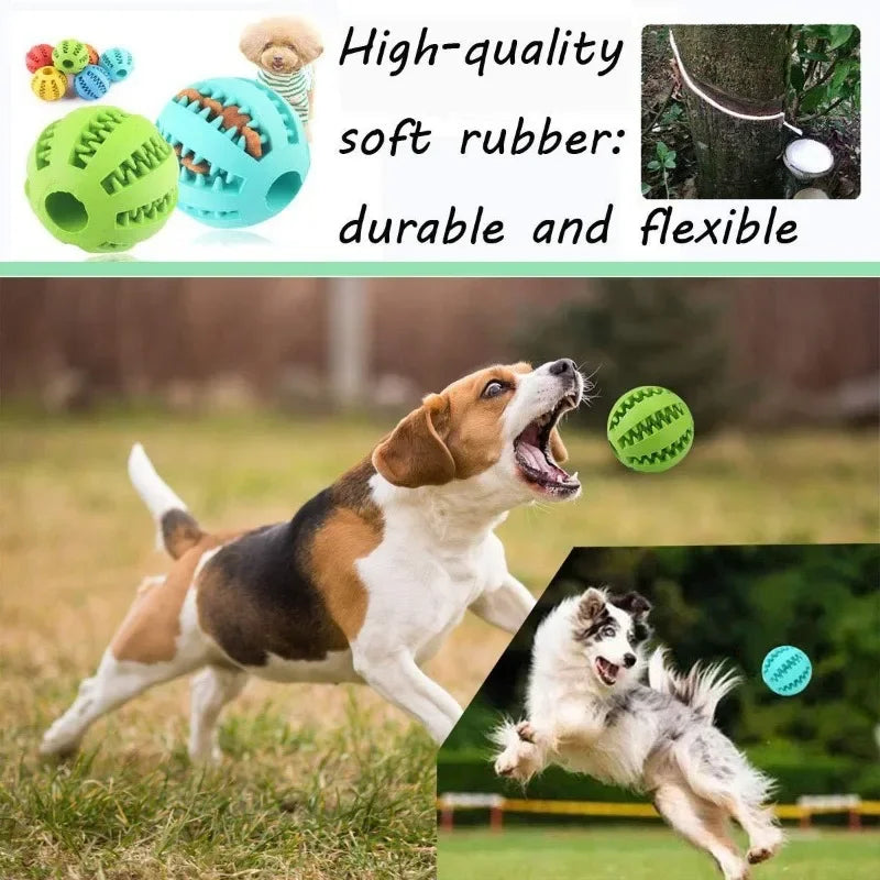 Rubber Dog Ball: Dental Chew Toy for Pet Dogs - Eco-Friendly Snack Dispenser  petlums.com   