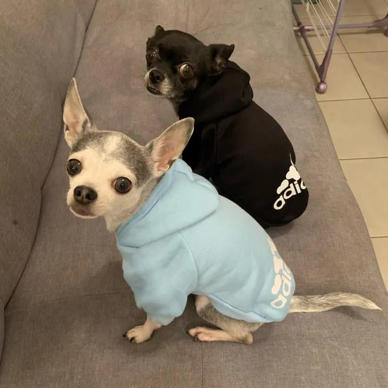 Winter Dog Hoodies: Fleece Sweatshirt for Small, Medium, Large Dogs  petlums.com   