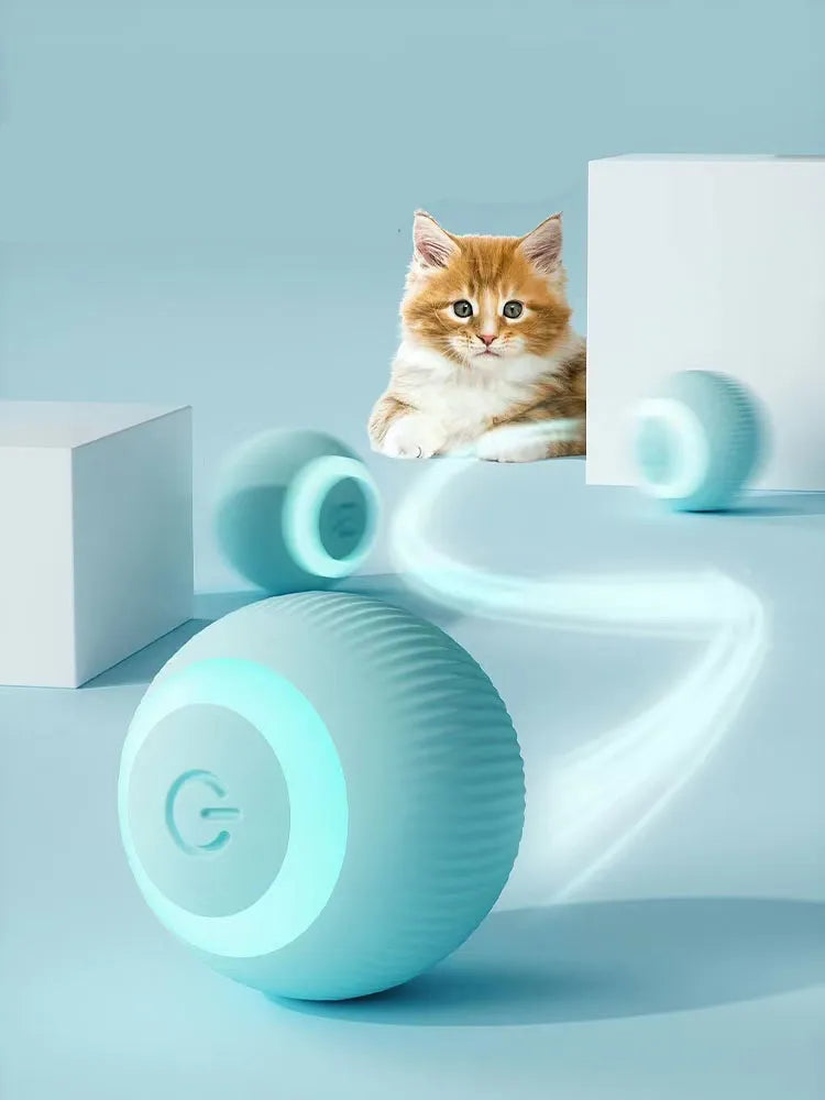Interactive Smart Cat Toy for Active Felines: Enhance Playtime & Well-being  petlums.com   