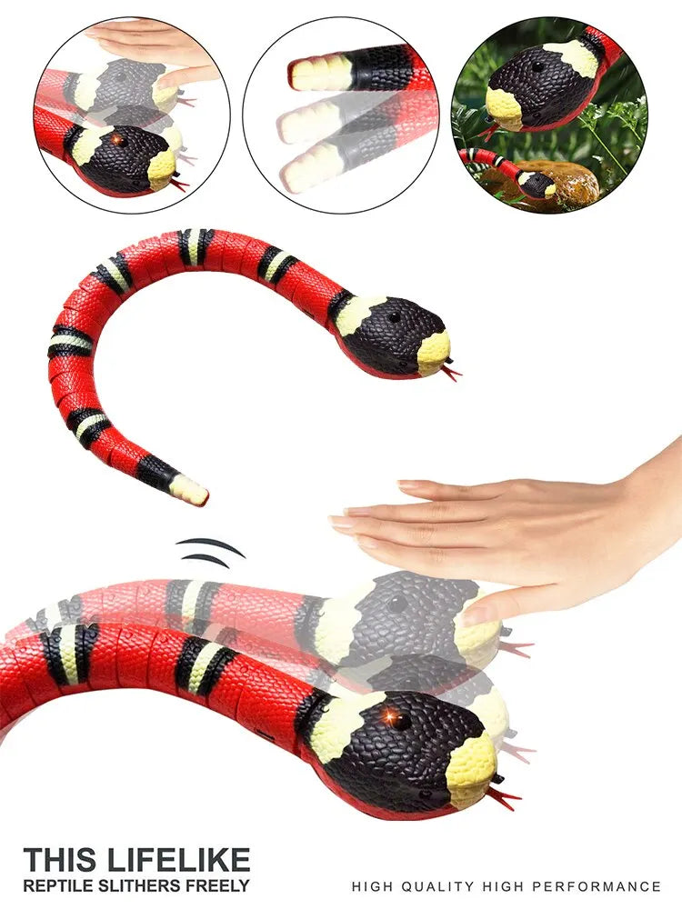 Smart Interactive Snake Teaser Toy for Cats and Dogs  petlums.com   