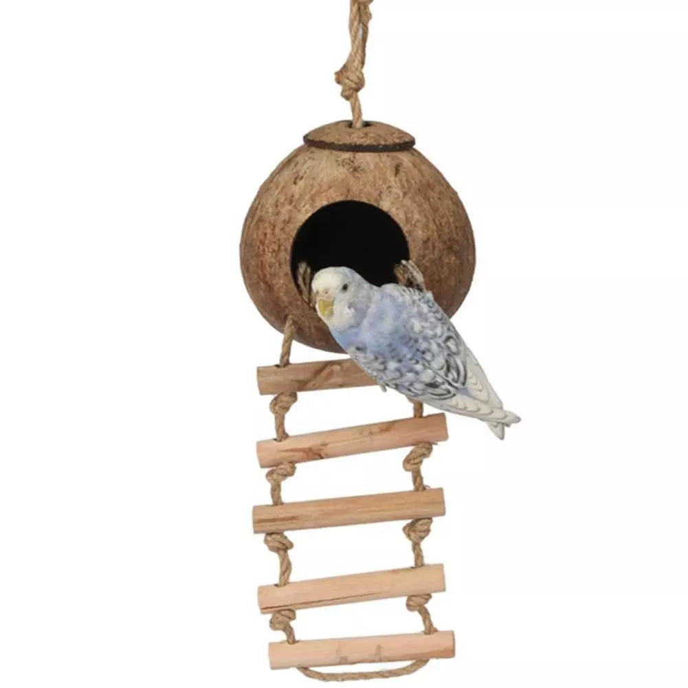 Coconut Shell Bird Nest Hideout: Eco-Friendly Durable Habitat for Pets  petlums.com   