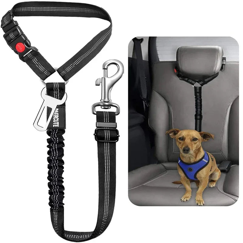 Dog Safety Belt: Professional Safety Leash for Cats and Dogs  petlums.com   