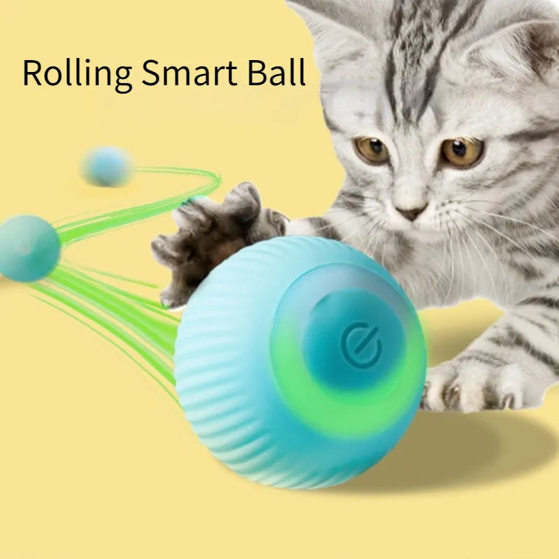 Electric Rolling Ball Cat Toy for Interactive Indoor Play  petlums.com   