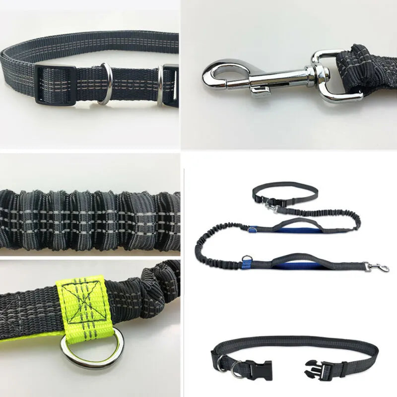 Reflective Hands-Free Dog Leash with D-Ring Metal Harness  petlums.com   