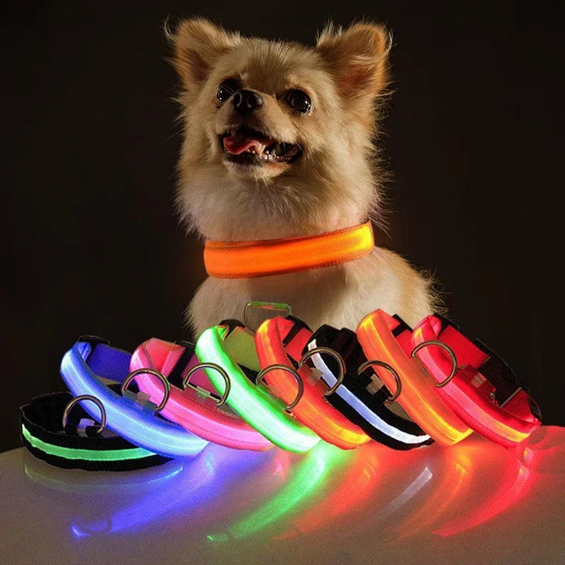 LED Dog Collar: Safety Night Light Flashing Necklace for Pet Visibility  My Store   