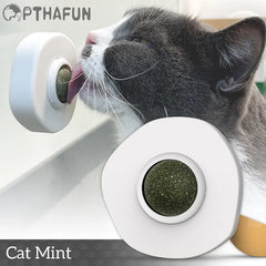 Interactive Cat Toy Ball for Dental Health and Fun Play: Natural Catnip, Rotating Design.