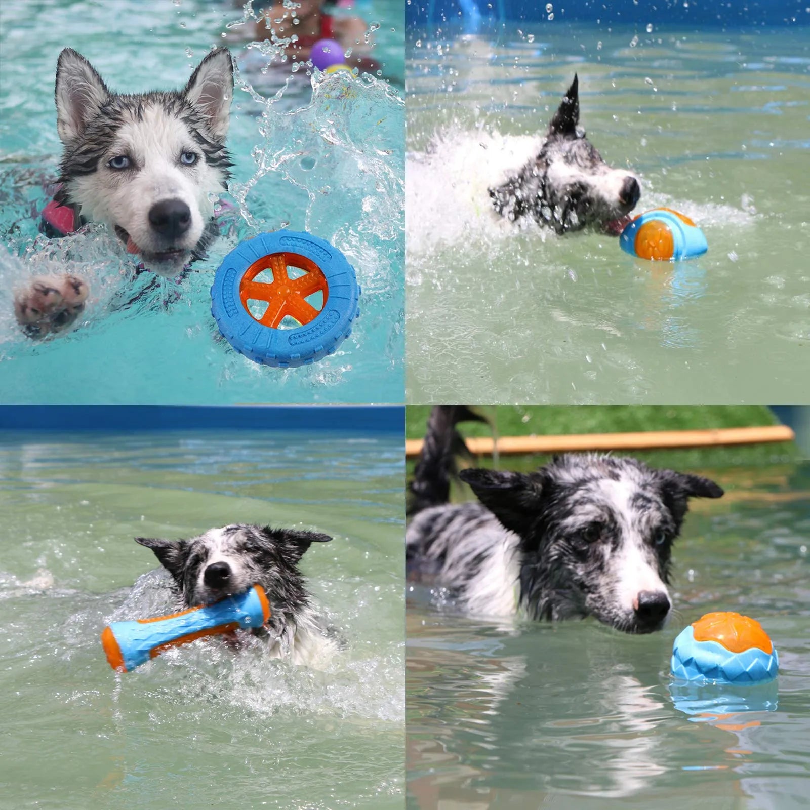 Rubber Dog Chewing Toys: Ultimate Solution for Large Dogs' Dental Health  petlums.com   