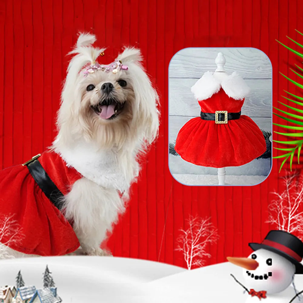 Festive Christmas Dog Dresses for Small Dogs: Cosplay Cat Dress  petlums.com   