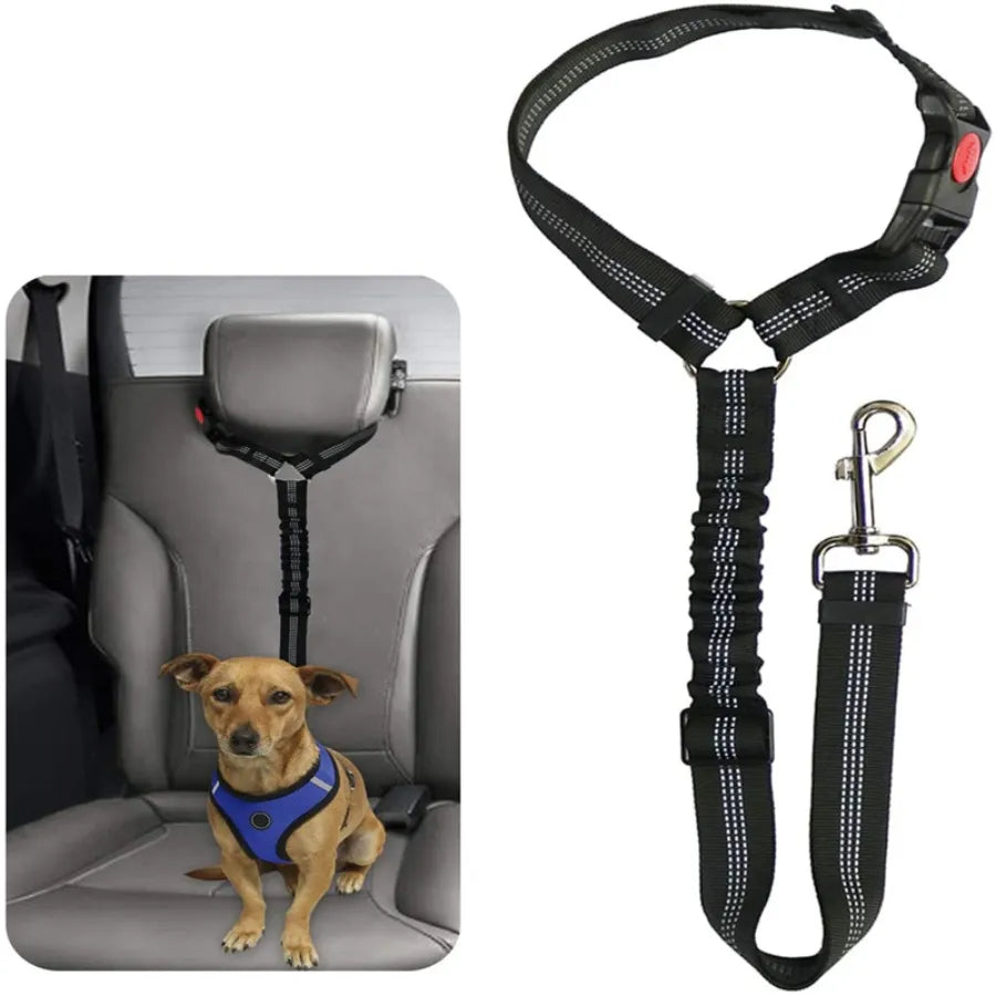 Car Safety Leash: Reflective Elastic Dog Seat Belt Rope  petlums.com   