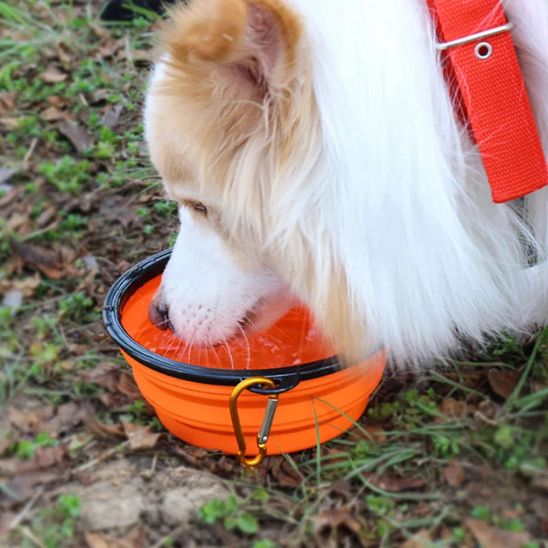 Portable Silicone Dog Bowl: Collapsible Travel Feeder for Outdoor Adventures  petlums.com   