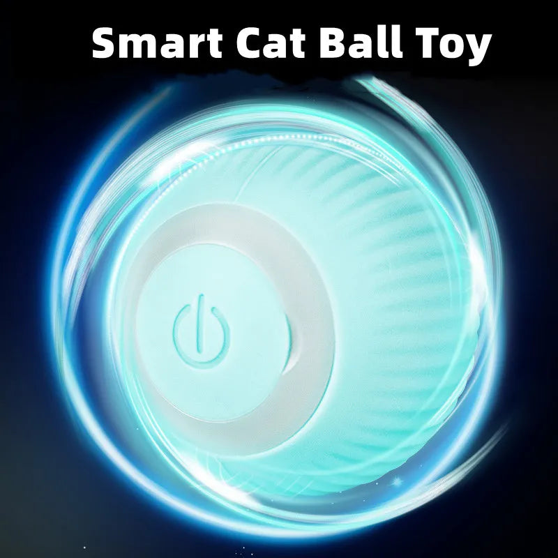 Electric Rolling Cat Toy for Indoor Interactive Playing  PetLums.com   