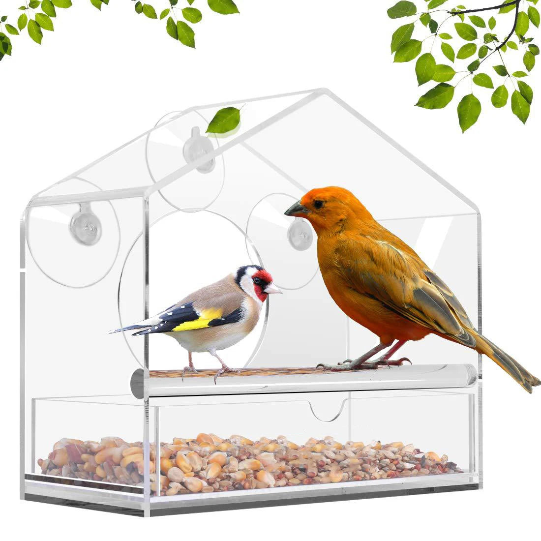 Acrylic Window Bird Feeder Tray for Close Birdwatching  petlums.com   