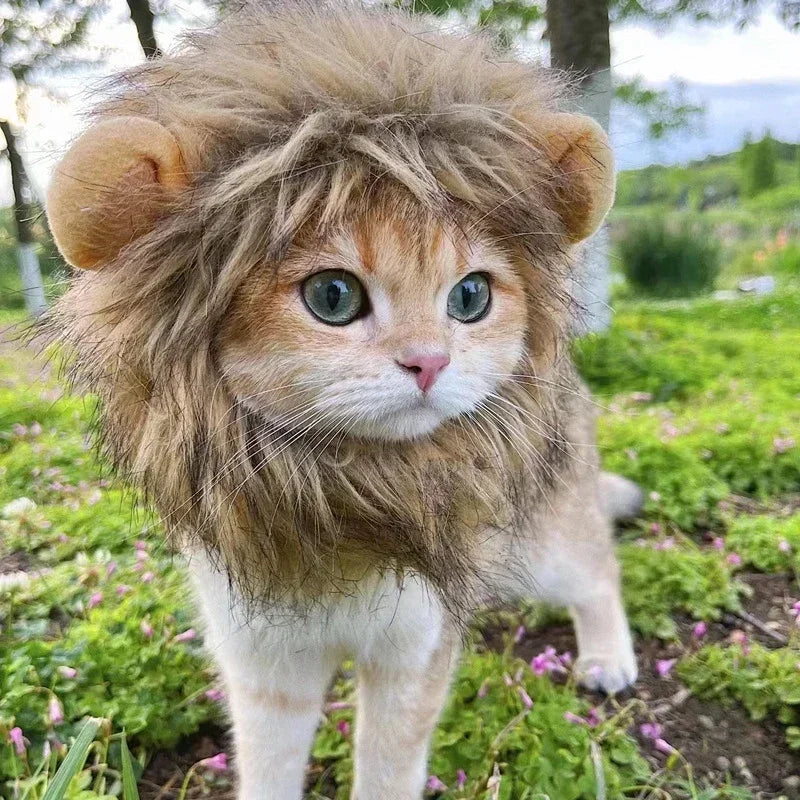 Cat Lion Mane Hat Costume: Transform Pets into Lions for Halloween & Christmas  petlums.com   