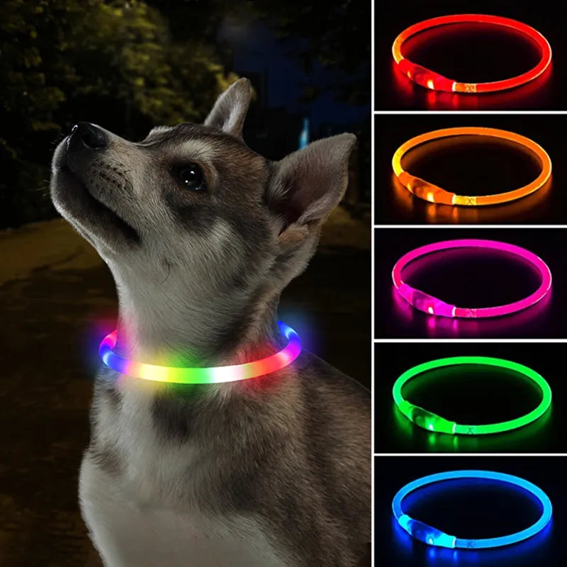 LED Dog Collar USB Charge Night Glowing Safety Pet Accessories  petlums.com   