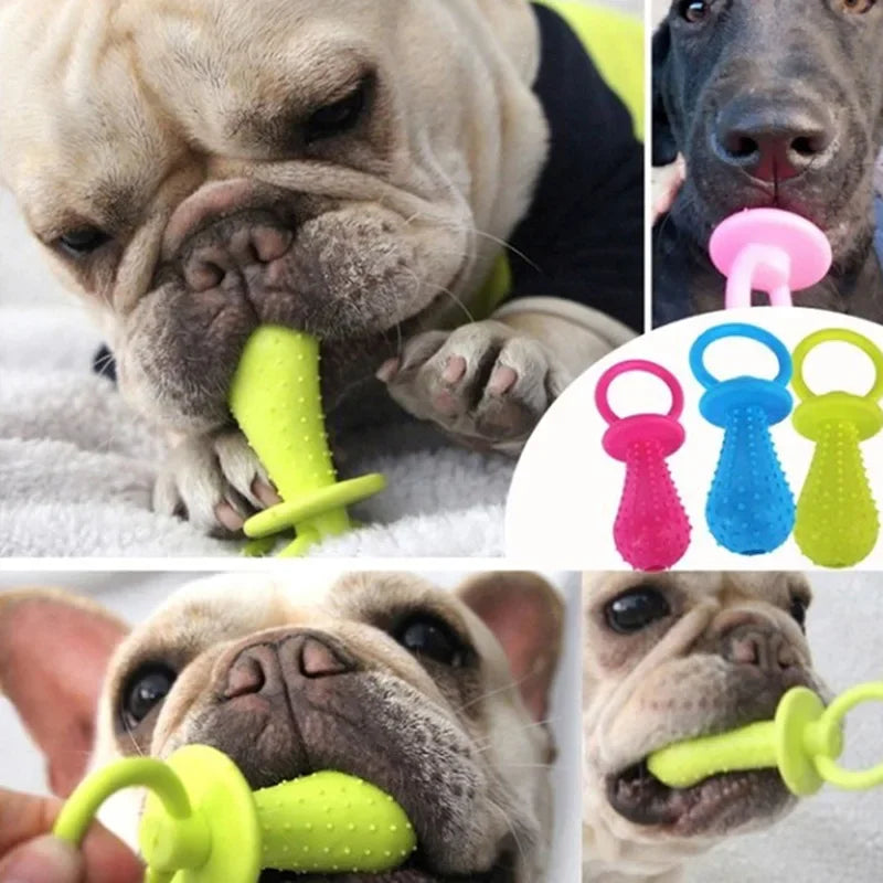Rubber Pet Chew Toy for Small Dogs: Dental Health & Training Aid  petlums.com   