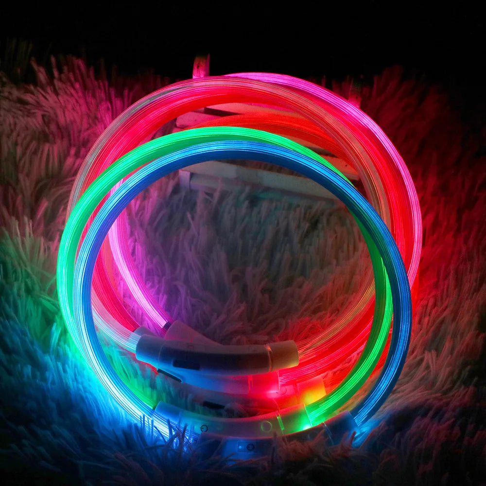 LED Lighted Pet Safety Collar: Bright, Rechargeable, Weatherproof Glow Collar  My Store   