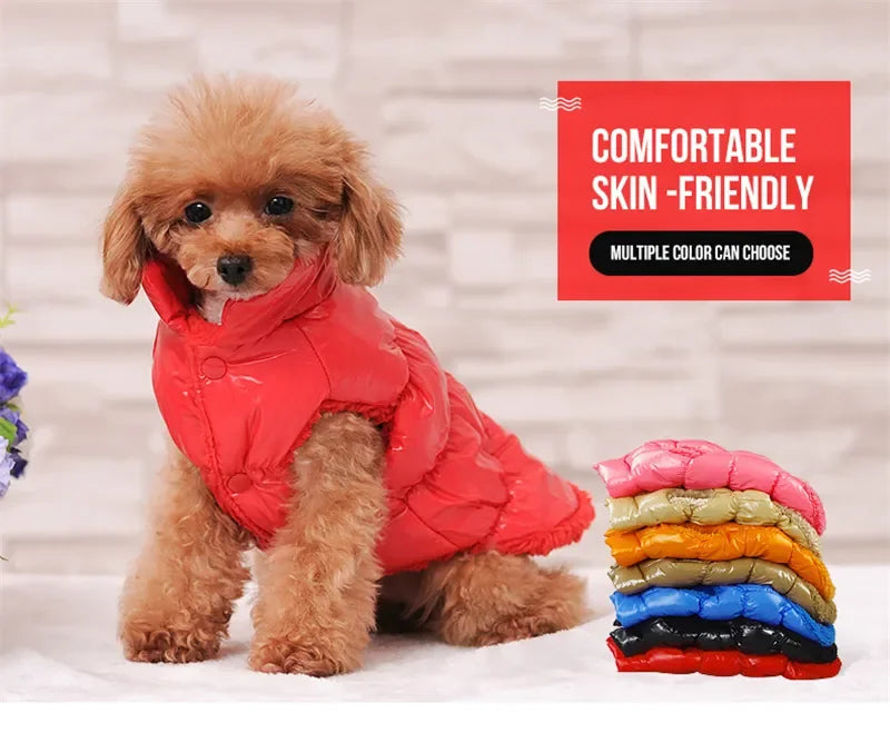 Winter Pet Down Jacket: Cozy Winter Coat for Small Dogs & Cats  petlums.com   