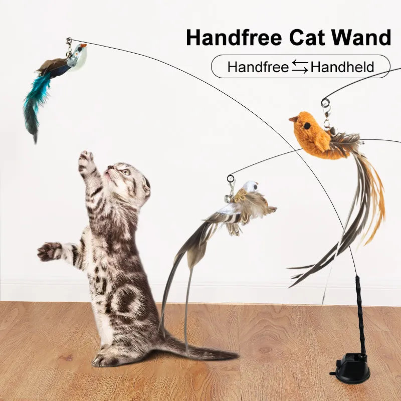 Bird Feather Cat Wand with Bell: Interactive Hunting Exercise Toy  My Store   