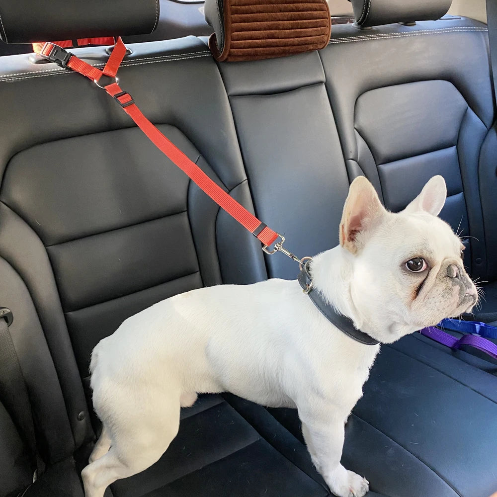 Adjustable Nylon Dog Harness & Car Seat Belt Set: Enhance Safety & Comfort  petlums.com   